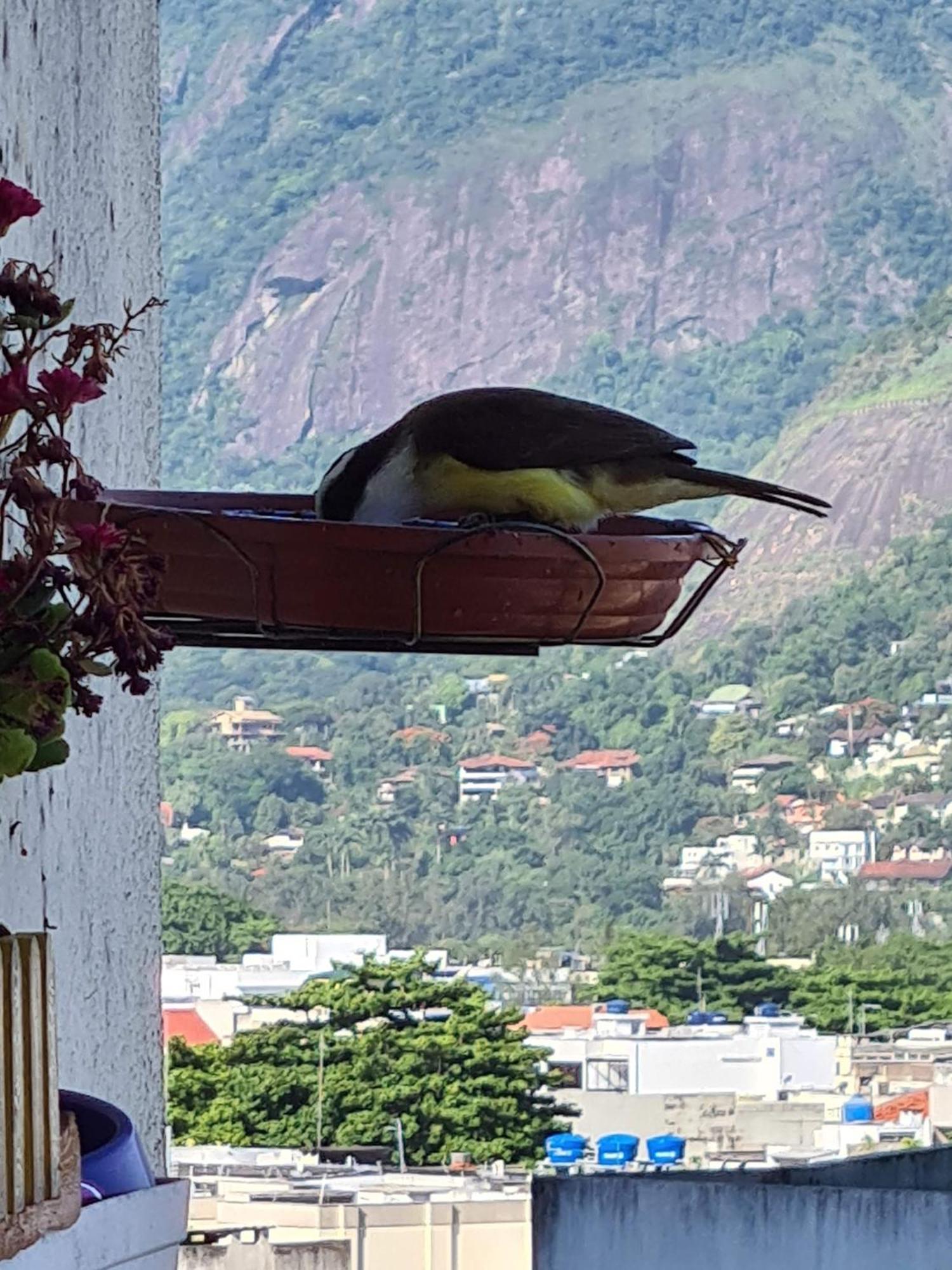 Apto Barra Da Tijuca Frente Pro Mar Ріо-де-Жанейро Екстер'єр фото